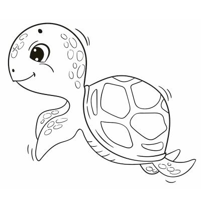 Coloriages Sur Les Tortues Tete A Modeler