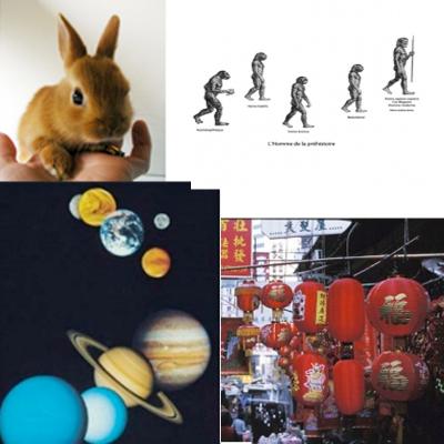 Dossier sur la culture