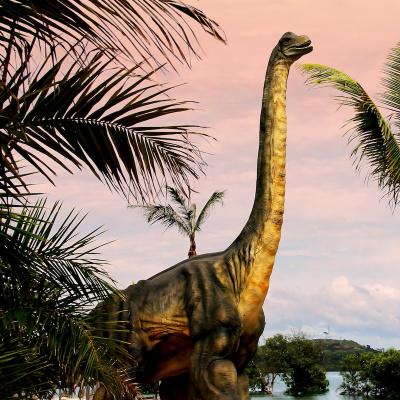 diplodocus - mot du glossaire Tête à modeler. Définition et activités associées au mot diplodocus.