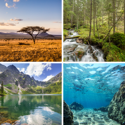 Sommaire des articles sur le milieu. Des articles pour mieux comprendre la notion de milieu, biotope ou de biome. Le milieu est la partie du monde où vit un être vivant. Le désert, la forêt, la montagne, le maquis ou la prairie sont des milieux, chacu