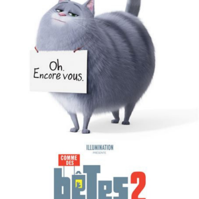 Très tôt, votre enfant commence à apprécier les joies du 7ème art. S’il risque fort de regarder en boucle le même dessin animé, il y a un moment où vous pourrez lui proposer des nouveaux films et pourquoi ne pas l’emmener au cinéma ? Retrouvez tous les fi