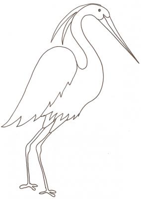 Coloriage d'une aigrette