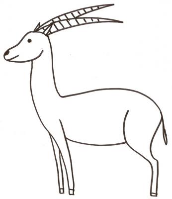 antilope