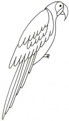 Aras