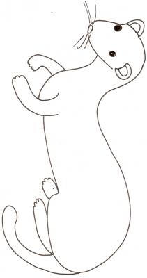 Coloriage d'une belette
