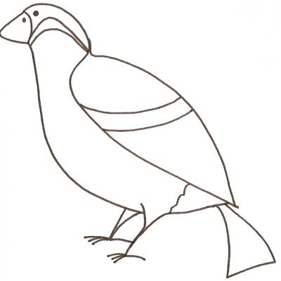 Bouvreuil