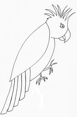 Coloriage d'un cacatoès