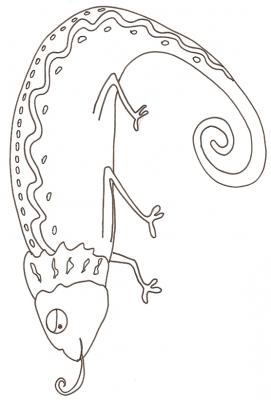 Coloriage d'un caméléon 2