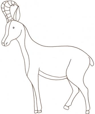 chamois