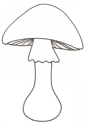 champignon