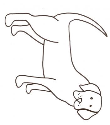 Chien