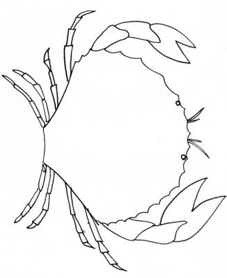 Crabe