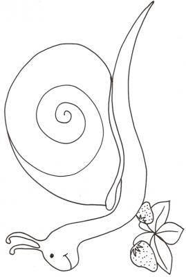 Mollusque