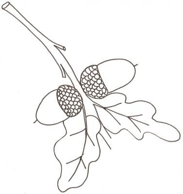 Gland