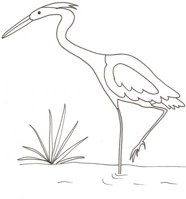 heron