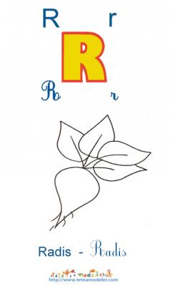 Radis
