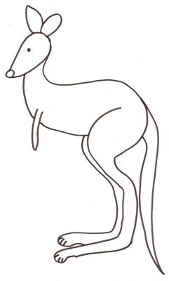 marsupial