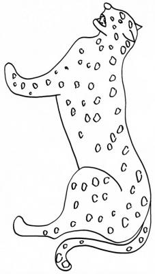 Félin