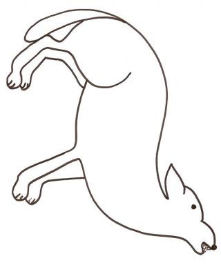 Dingo