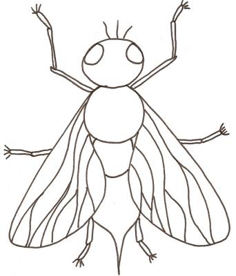 mouche