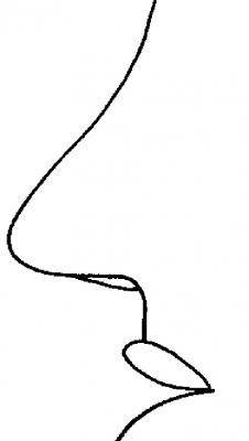 Nez