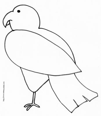 oiseau