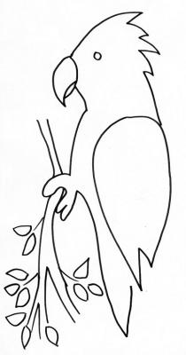 Perroquet
