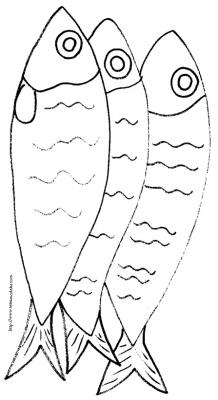 anchois