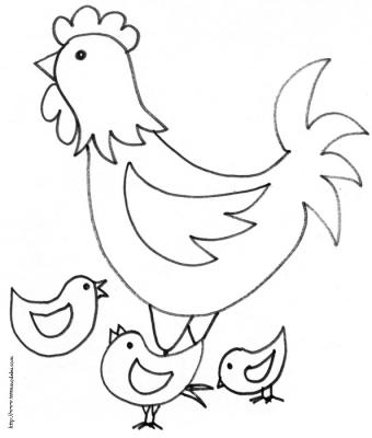 Poule