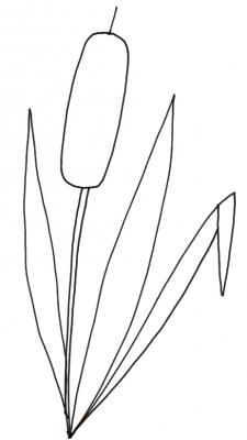 Roseau