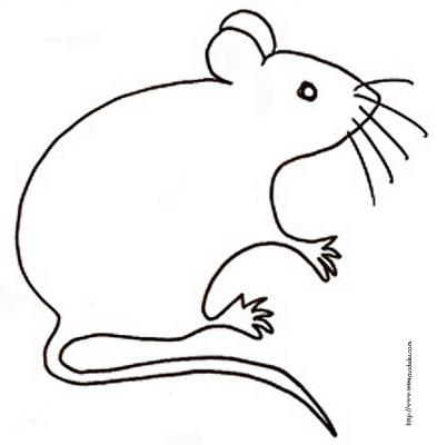 Souris