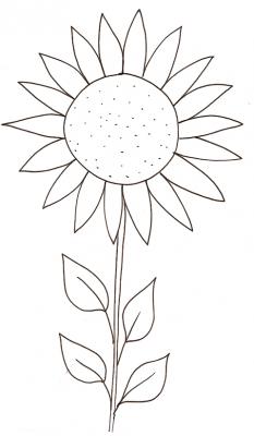 tournesol