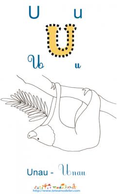 Apprendre et lire le U comme Unau