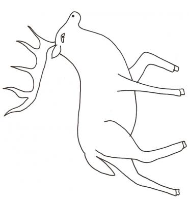 wapiti