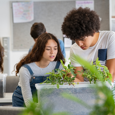 On ne peut comprendre l'écologie sans quelques notions de base en biologie et les différentes disciplines de la biologie , dont l...
