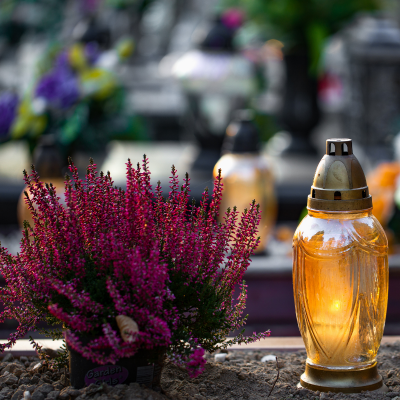 La Toussaint, voilà un nom très évocateur ! En effet, c'est le jour où les chrétiens commémorent ensemble les saints et les martyrs connus et inconnus. Véritable héritage de la nuit de la Samain que l'on appelle aujourd'hui "Halloween". Mais quand fêter l