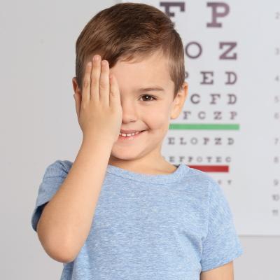 La vision qui nous est si naturelle est en fait un sens extrêmement complexe qui fait intervenir les yeux et le cerveau. De tous les sens, la vue est considérée comme le plus important.