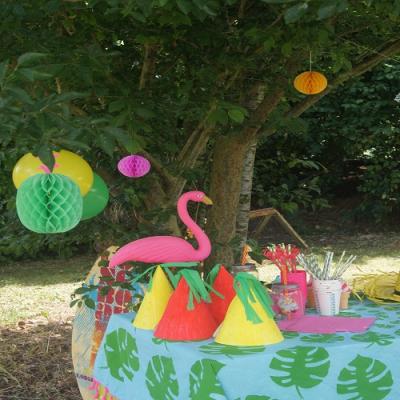 Toutes les activités du buffet tropical