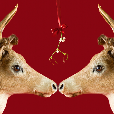 Les Origines De La Saint Sylvestre Quelles Sont Les Origines De La Saint Sylvestre Tete A Modeler