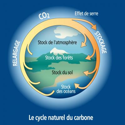 Lieffet Spirale De L Augmentation Des Gaz A Effet De Serre Ecologie Et Environnement Explique Aux Enfants Et Leurs Parents