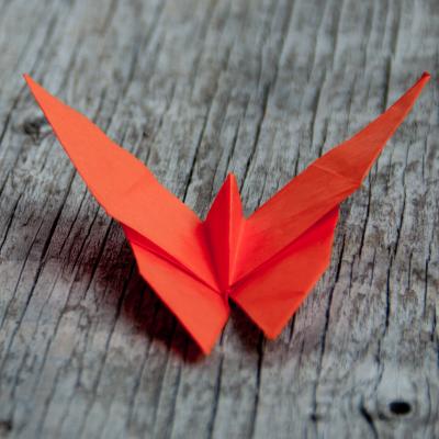 Le pliage de ce papillon en origami est simple et rapide à réaliser. Ces petits papillons en papier seront parfaits pour le...